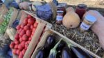 Primavara la ferma - targ recreational pentru parinti si copii